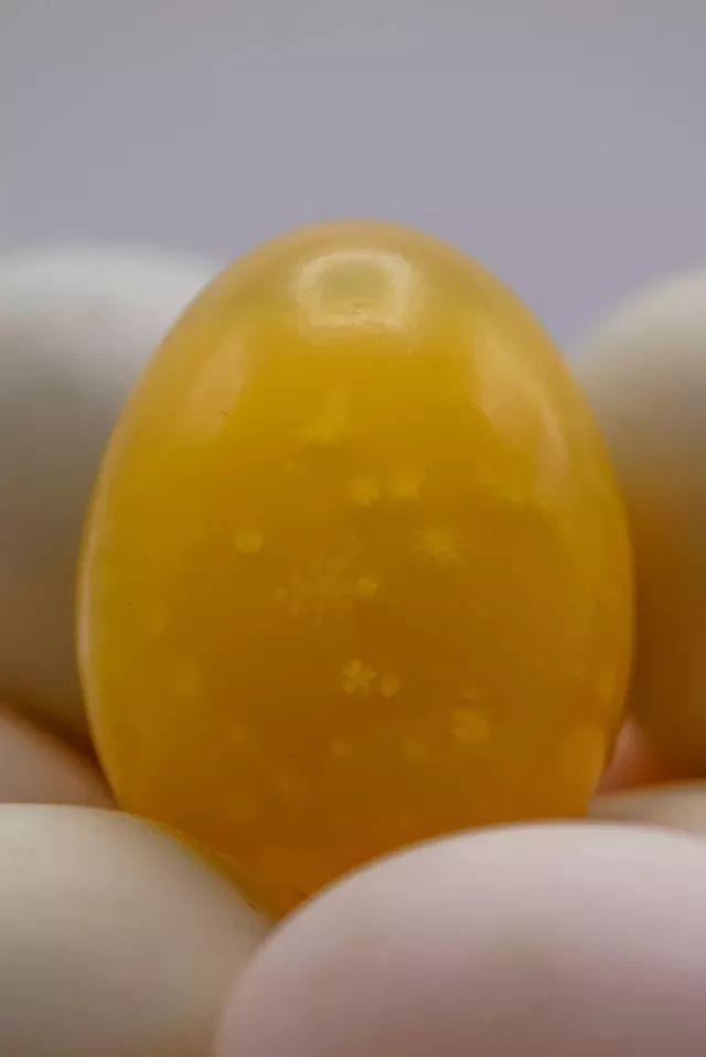 Ʒƣzǰζһʵˣ