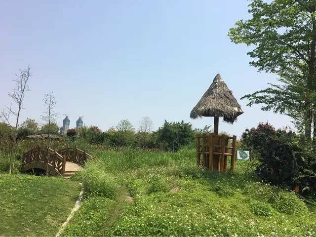 看看厦门集美园林博览苑真的太美了！