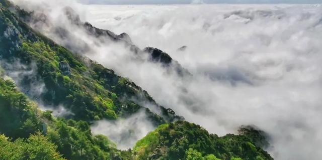 硬核降价！趵突泉20元！泰山57元！三孔70元！还有这些免费！