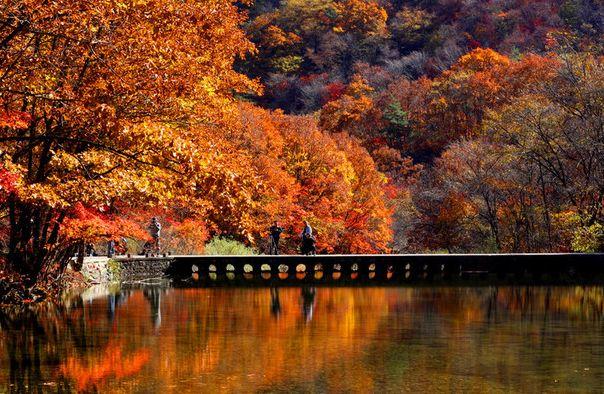 游走在这11个边境小城，无需签证看遍异国风情，你去过几个？