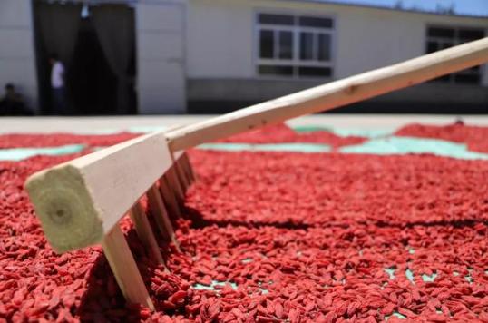 曾亏损20万，如今年销1.6亿，27岁小伙的另类农村创业路