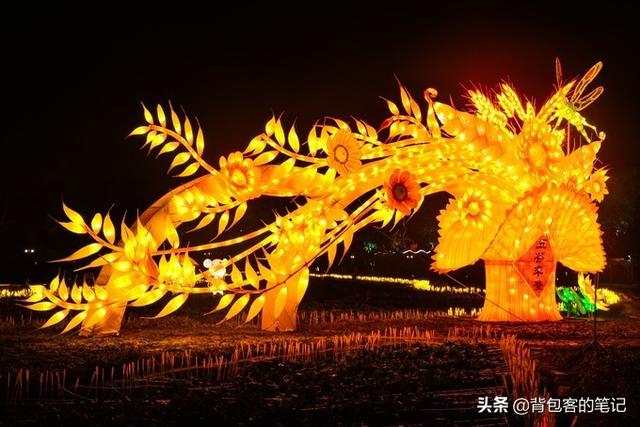 年味乌镇｜解一席江南梦，梦一段慢时光