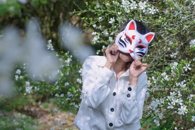 一种中药花意外带火了一座美丽乡村