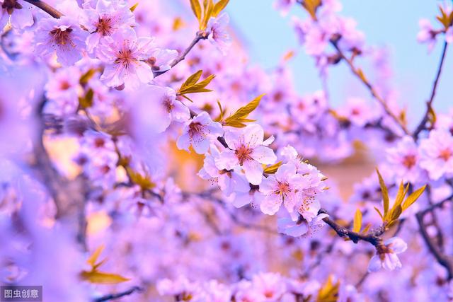 余生，要时时充满阳光，处处溢满花香