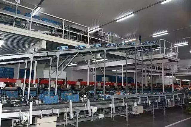 菜吧：荷兰的农业奇迹是如何创造的？