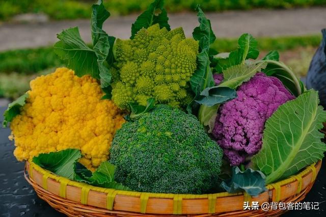 年味乌镇｜解一席江南梦，梦一段慢时光