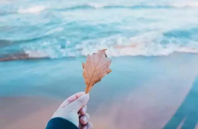 余生：做个俗人，往事清零，爱恨随意