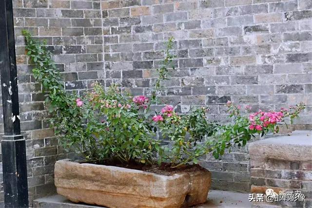 遇見(jiàn)伯延，圓你一場(chǎng)清末民初的夢(mèng)