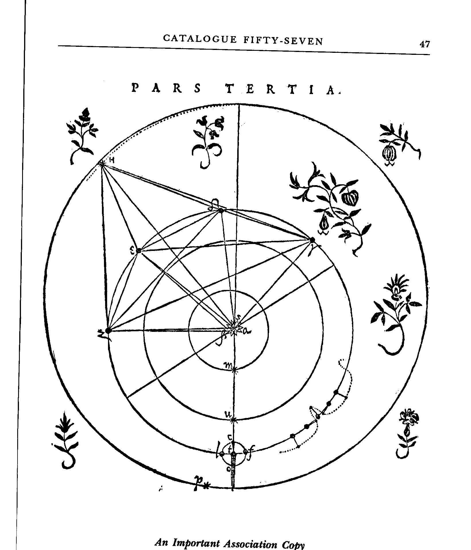 金星和地球在跳华尔兹，科学家们观察轨迹，竟然发现了五角星？