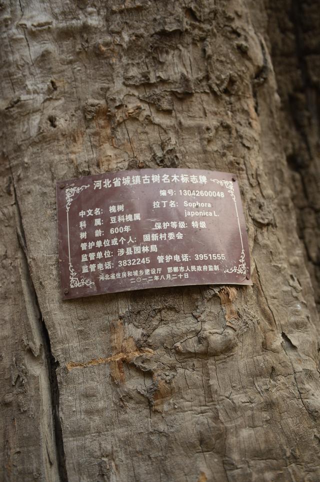 千年古鎮 固新