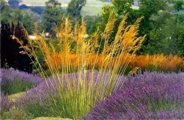 散文：你的微笑是最美的景