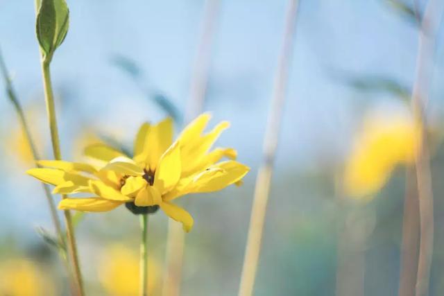 余生：做个俗人，往事清零，爱恨随意