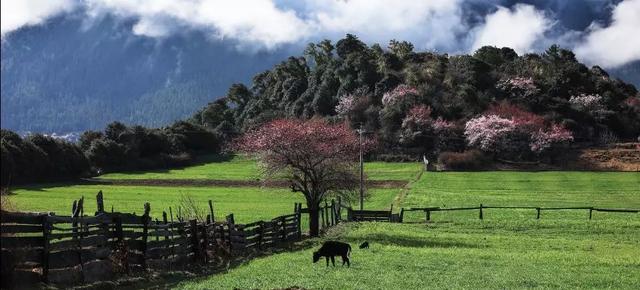 再过30天，中国这些地方很美