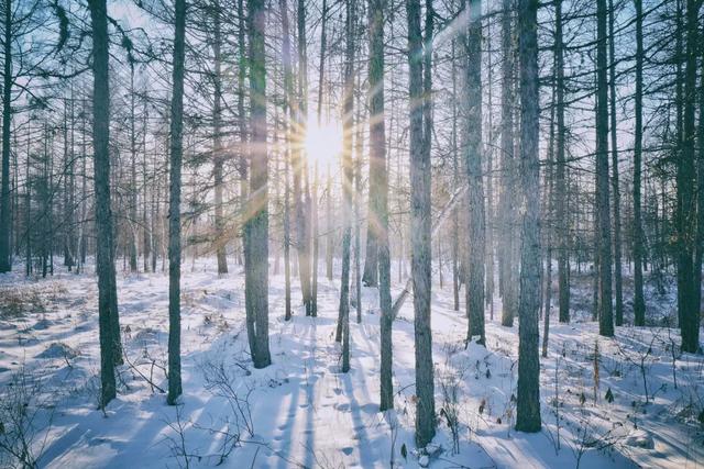 2020年第一份旅行清单，最适合1月旅行的8个目的地