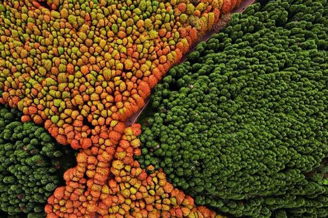 中国10大超自然奇观，颠覆你的想象，去了还想再去的地方