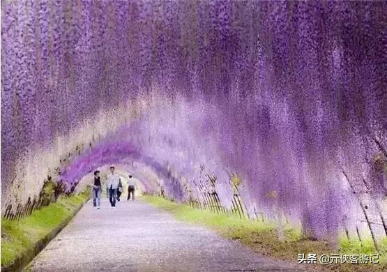 世界上最美的20条街道，亚洲上榜的在中国