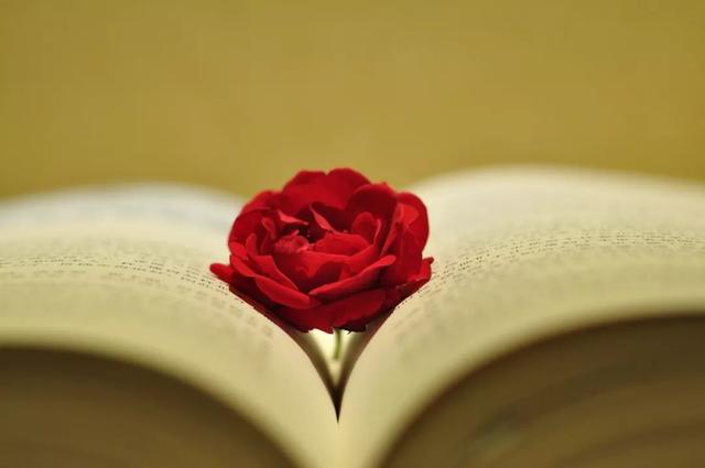 你若读书,生活处处有诗意