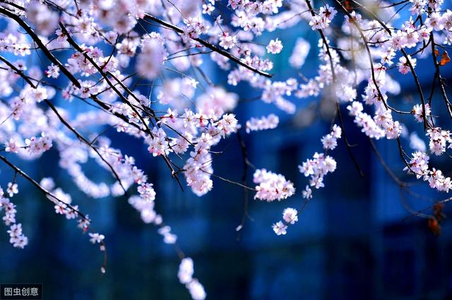 余生，要时时充满阳光，处处溢满花香