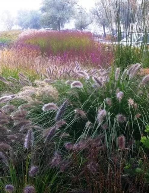 散文：你的微笑是最美的景