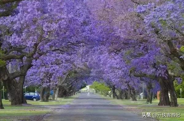 世界上最美的20条街道，亚洲上榜的在中国