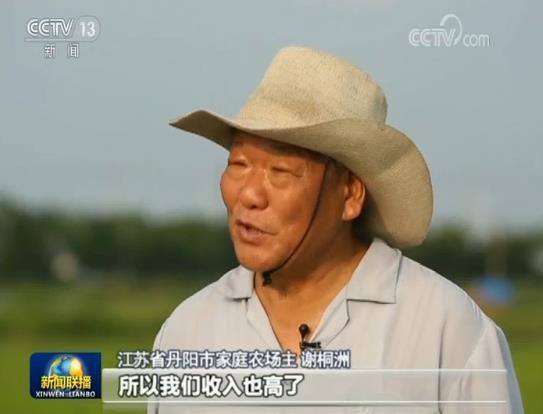 「在习近平新时代中国特色社会主义思想指引下——新时代 新作为 新篇章」优化结构 推进粮食生产绿色发展