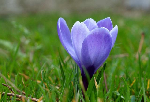 愿岁月静好，你我都好