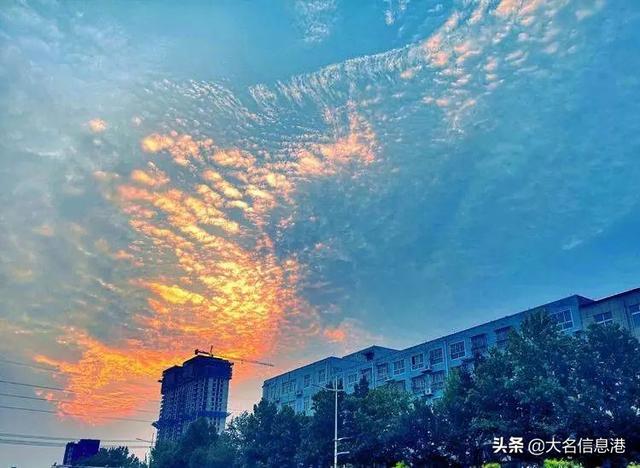 美爆了！大名北湖公園美景來(lái)了，一大波高清圖曝光