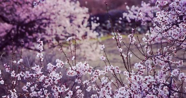 再过30天，中国这些地方很美