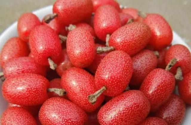 来了云南之后，你才会发现，水果居然还能这么吃