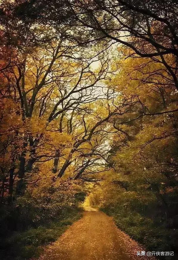 世界上最美的20条街道，亚洲上榜的在中国