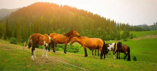 再过30天，中国这些地方很美