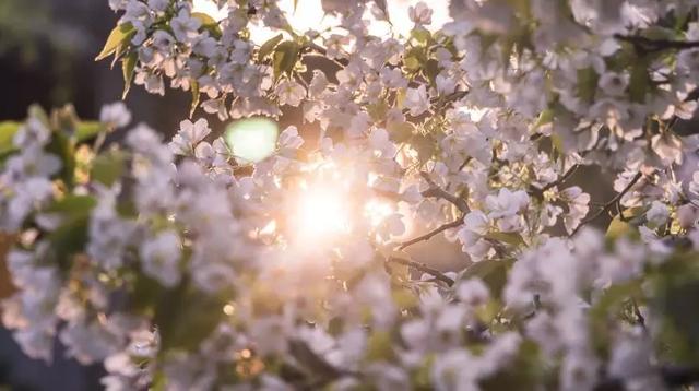 再过30天，中国这些地方很美