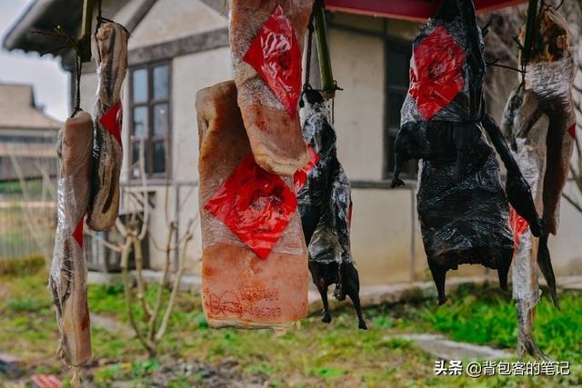 年味乌镇｜解一席江南梦，梦一段慢时光