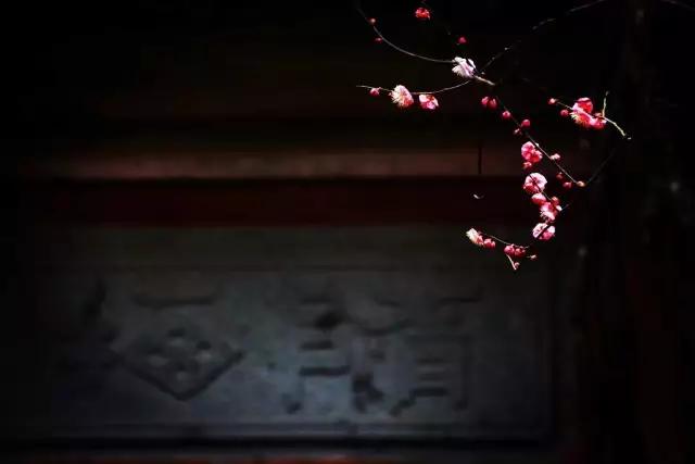 天台，一座康养之城