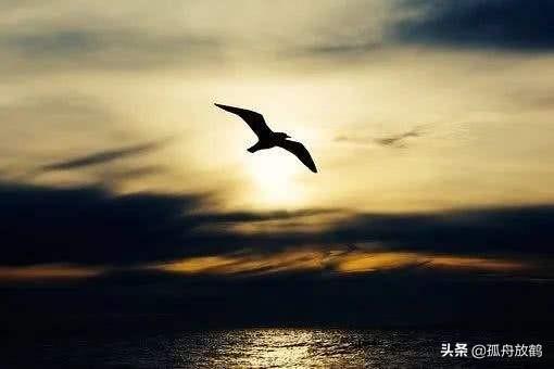 控制情绪，是我们一生的必修课