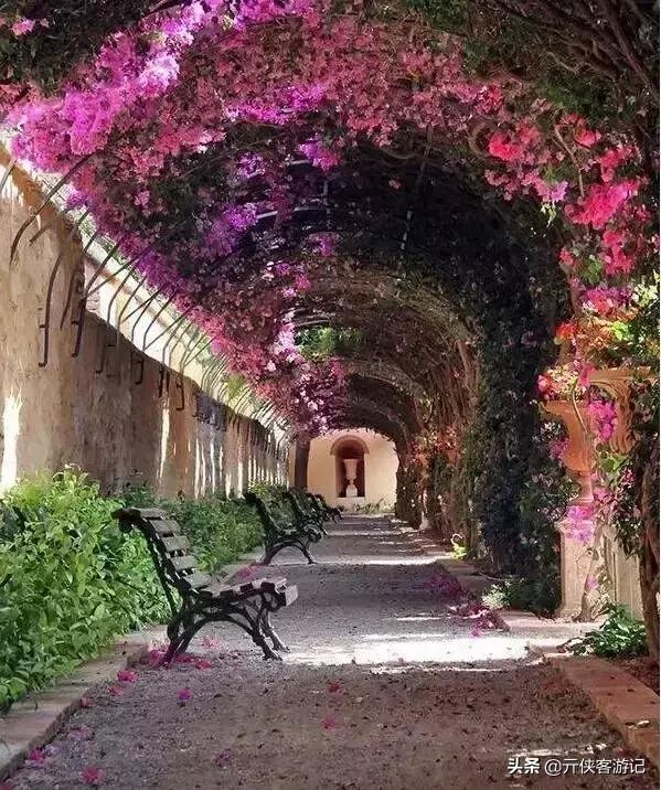 世界上最美的20条街道，亚洲上榜的在中国