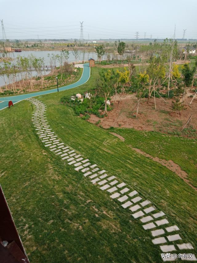 廢棄磚窯坑，變美麗濕地公園