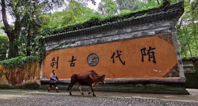 天台，一座康养之城