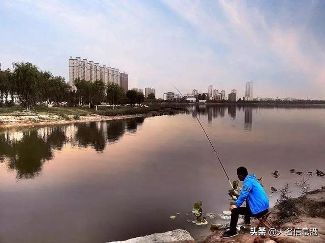 美爆了！大名北湖公園美景來了，一大波高清圖曝光