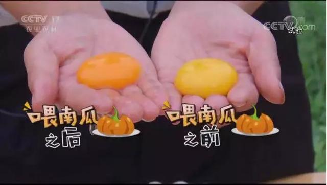 海归姑娘搞农业，一个“精”字让她年销1700万