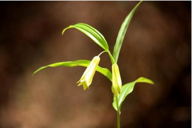 愿岁月静好，你我都好