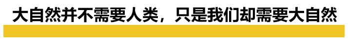 25亿人类被隔离后，地球一片生机盎然！新冠是大自然对人类的惩戒