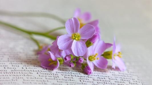 往事不回头，余生不将就