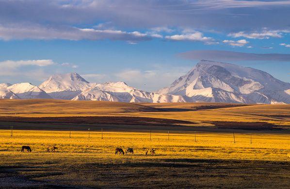 游走在这11个边境小城，无需签证看遍异国风情，你去过几个？