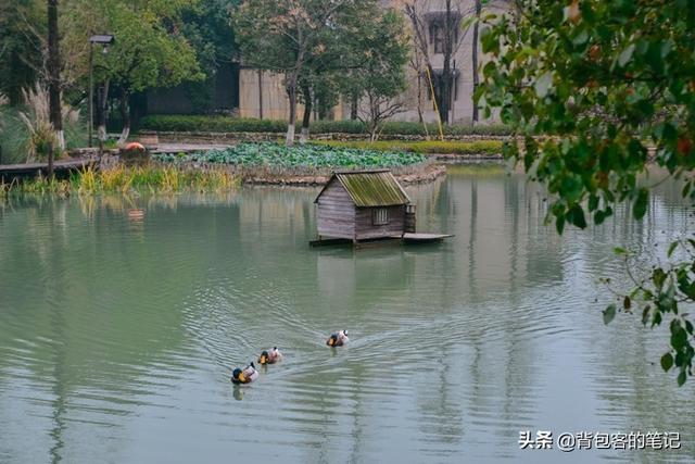 年味乌镇｜解一席江南梦，梦一段慢时光